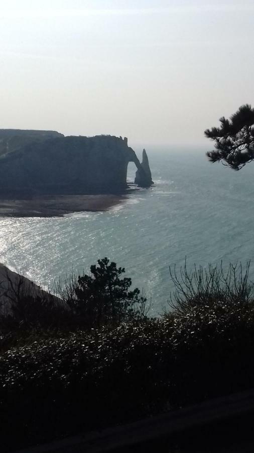 Les Nids Des Falaises Saint-Jouin-Bruneval Kültér fotó